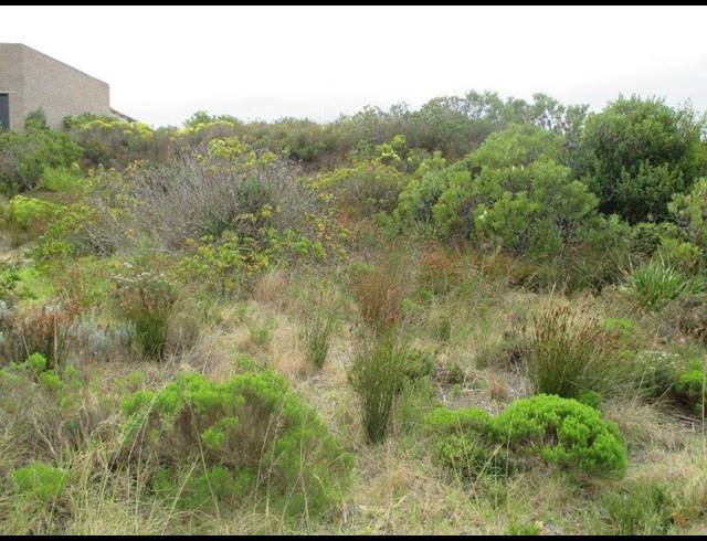 LAND FOR SALE IN DANA BAY